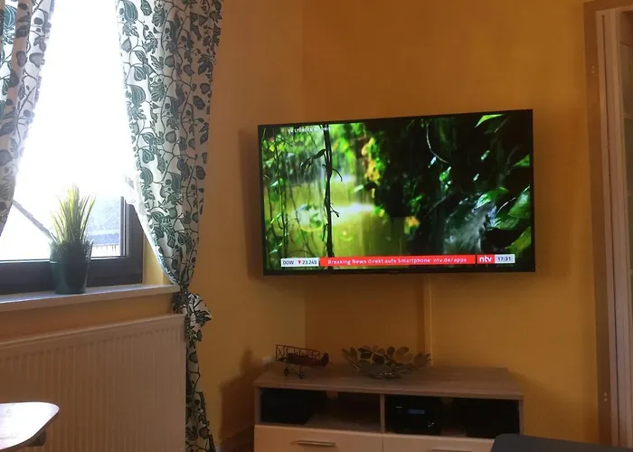 Sunshine * Waldsolms