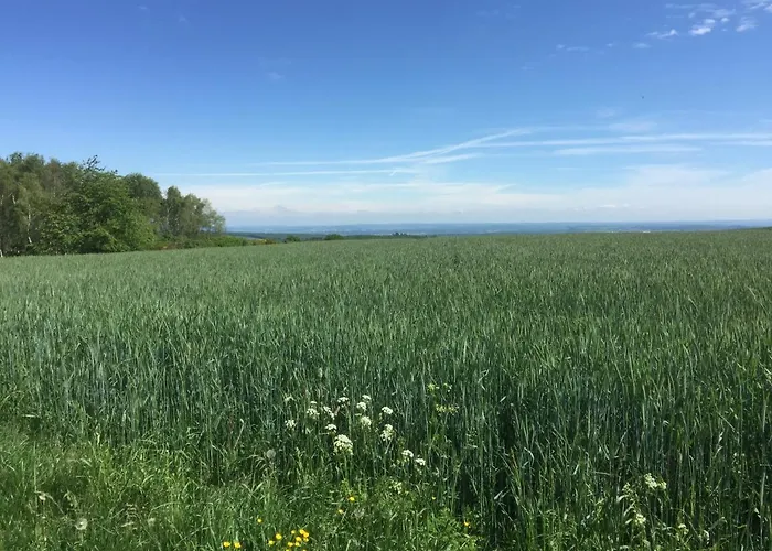 Διαμέρισμα Sunshine